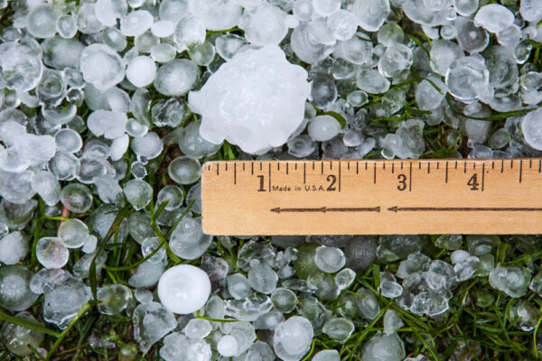 Hail in grass after hailstorm with ruler