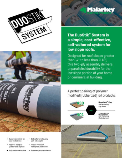 DuoStik System Flyer