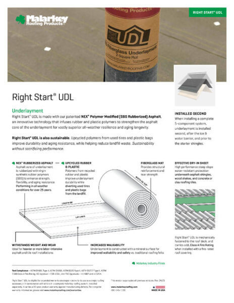 Right Start UDL Flyer