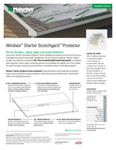 Windsor Starter Flyer