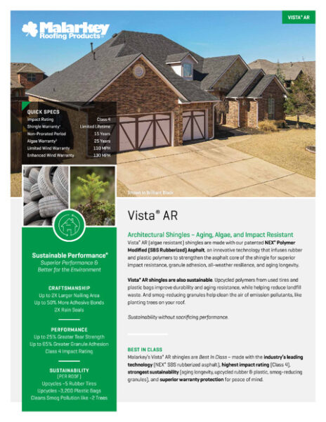 Vista AR Flyer (OK)