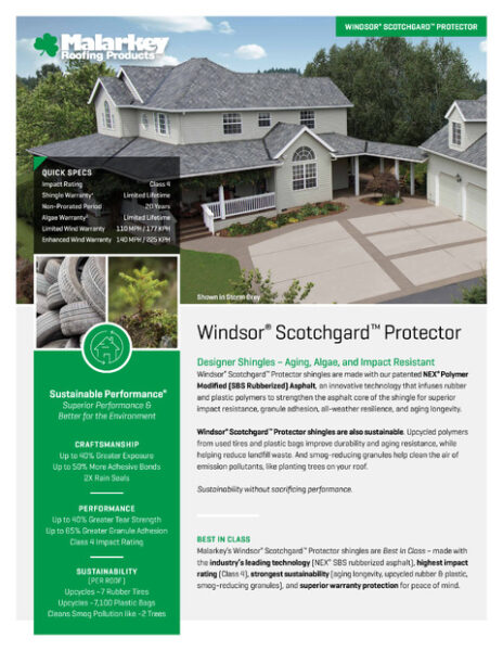 Windsor Scotchgard Flyer