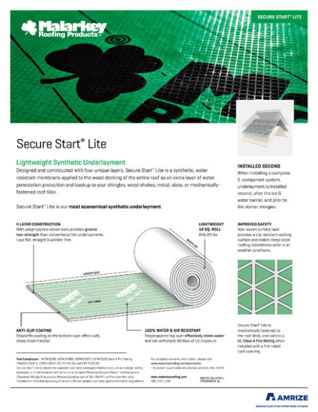 1029 Secure Start Lite Flyer