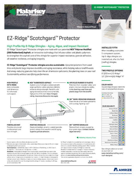 EZ-Ridge Flyer