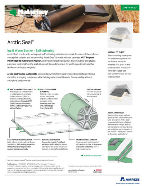 401 Arctic Seal Flyer